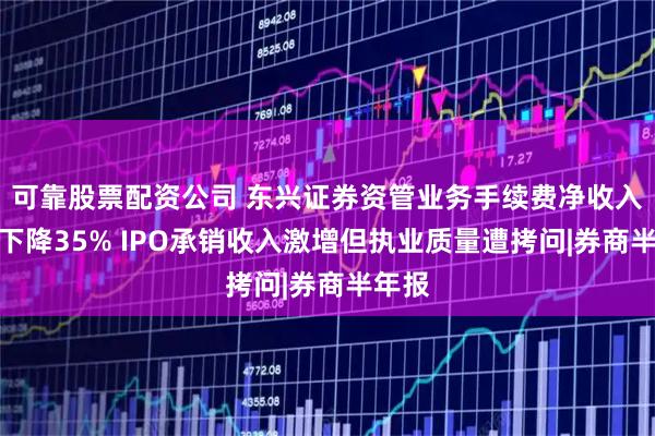可靠股票配资公司 东兴证券资管业务手续费净收入同比下降35% IPO承销收入激增但执业质量遭拷问|券商半年报
